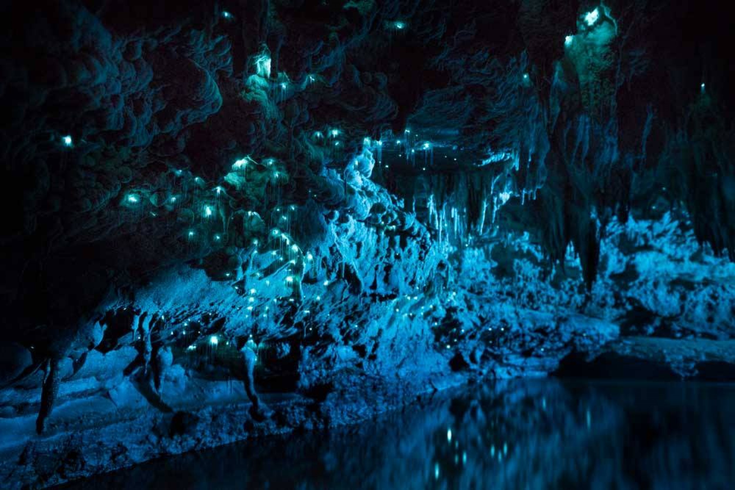 Waitomo caves. Пещеры Вайтомо новая Зеландия. Пещеры светлячков Вайтомо. Светящиеся пещеры Вайтомо новая Зеландия. Пещеры светлячков Вайтомо в Вайтомо, новая Зеландия..