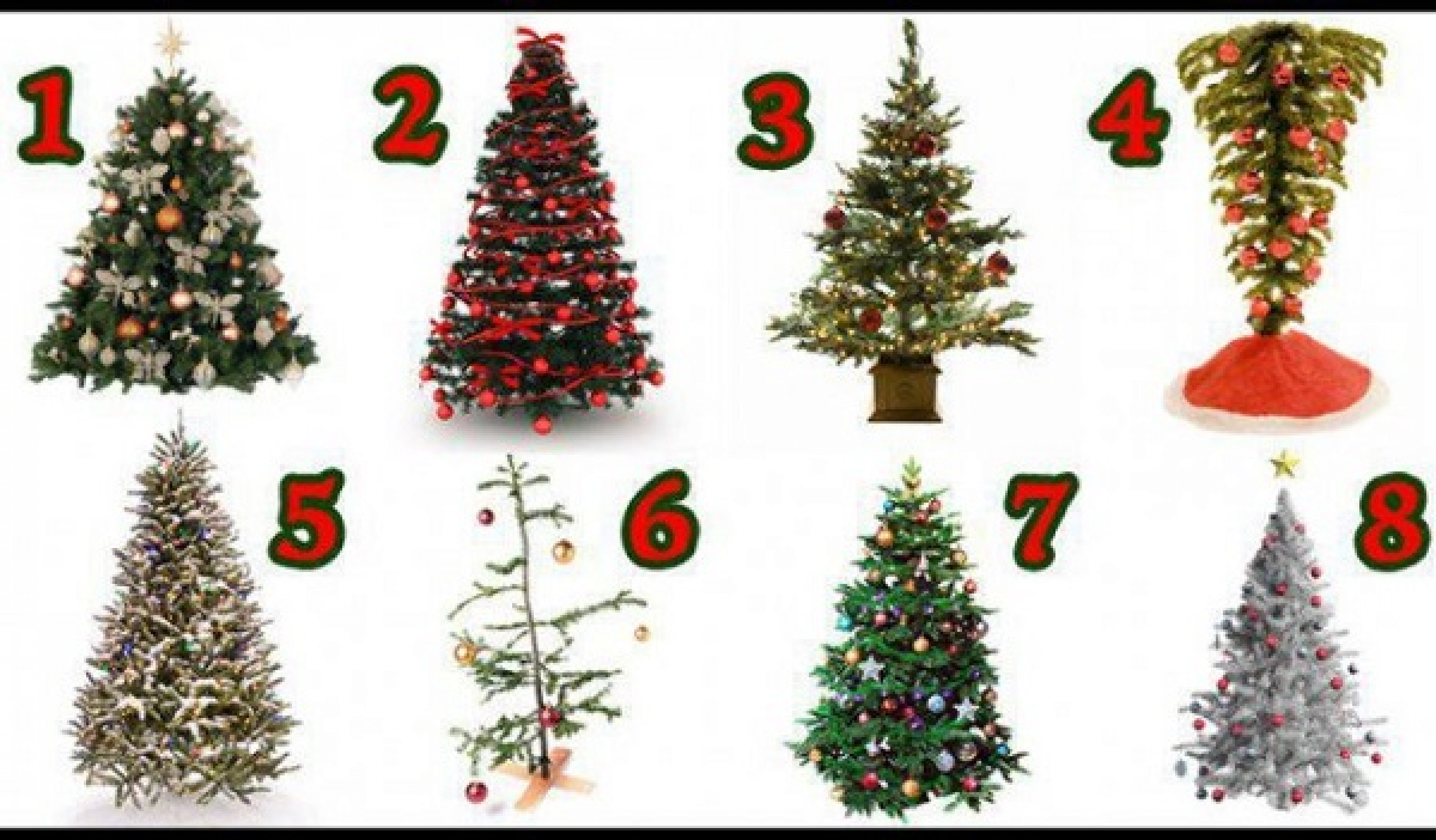 Тесты новый год с ответами. Выбери елку. Тест Новогодняя елка. Психологический тест елка. Тест на новый год.