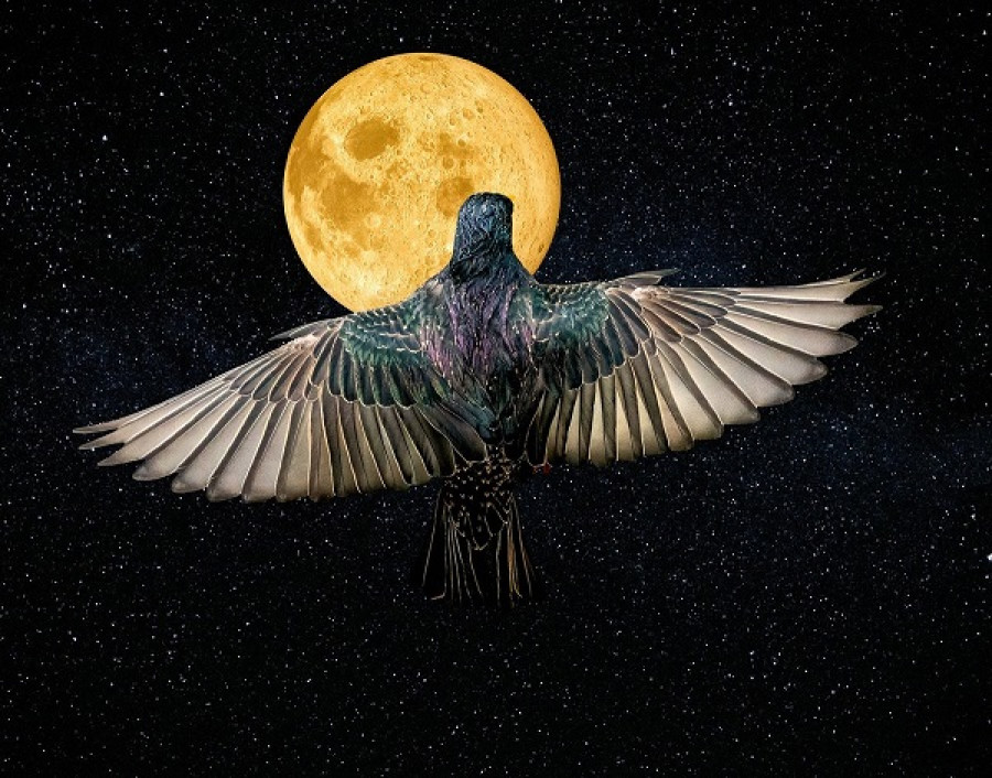 Egy képrészlet mesél 2026-ról