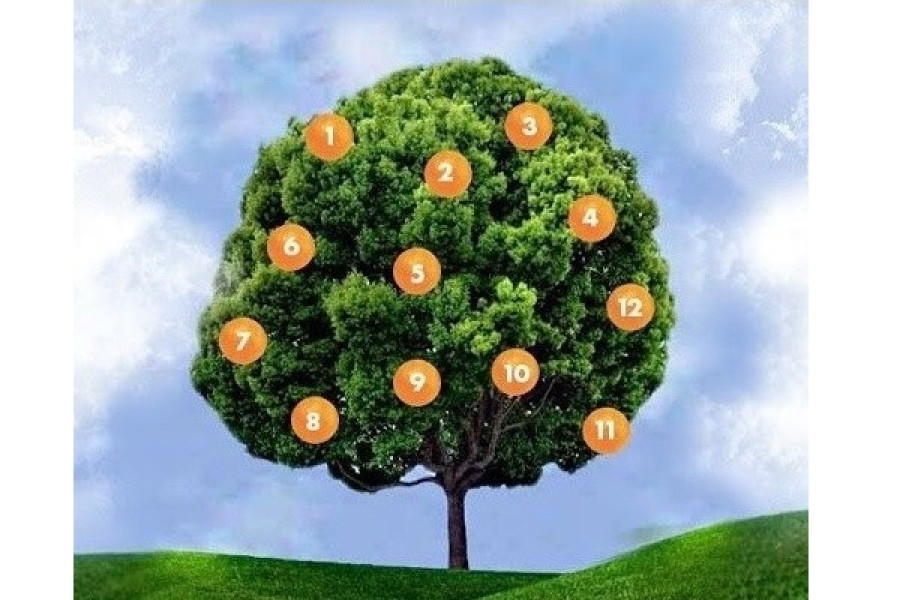 Valóra válik a kívánságod még az idén?