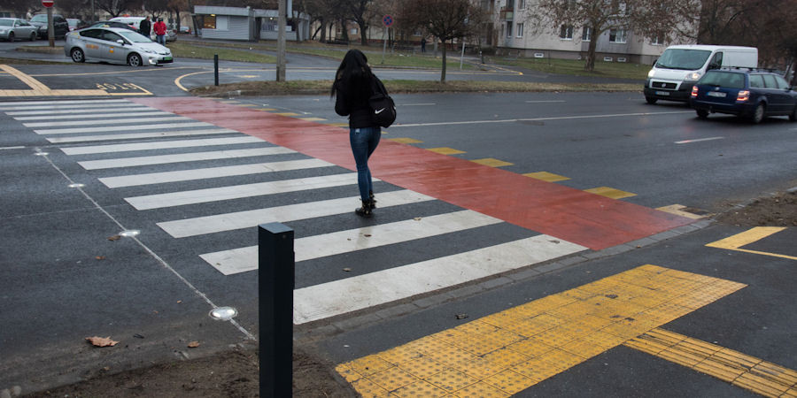 Empatikusabbak azok, akik intenek a zebrán