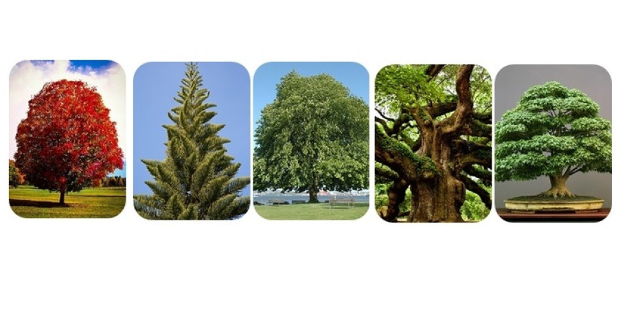 Min kellene változtatnod 2026-ban?