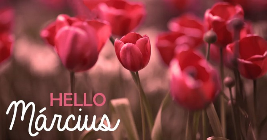 A március szerencsés és nehéz napjai