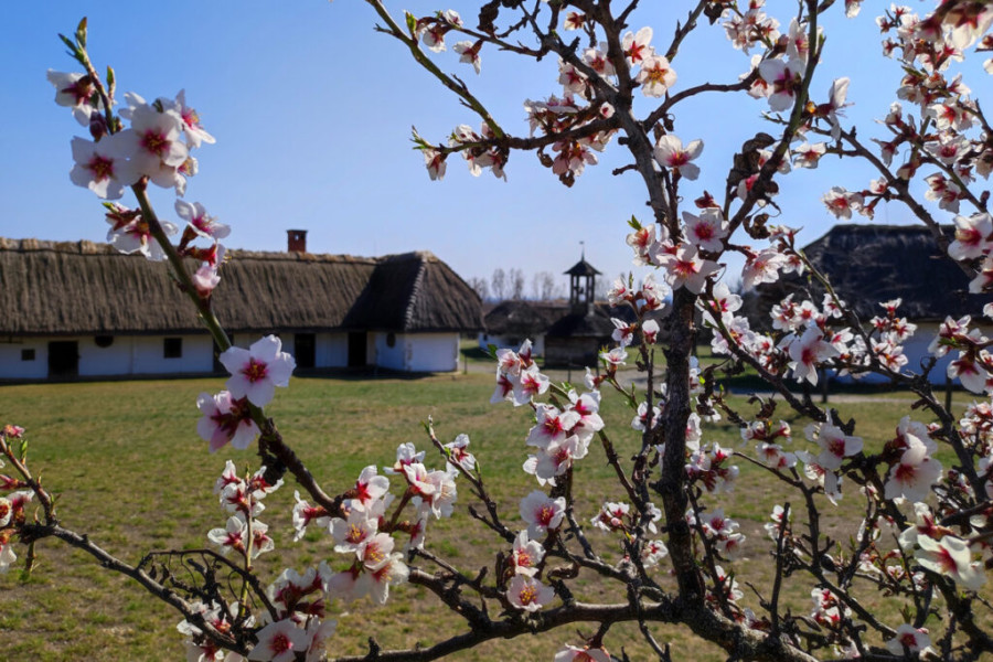 Tavaszi, egynapos kirándulás ötletek